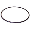 ORING 133598