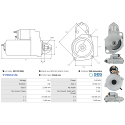 S01181(SEG)